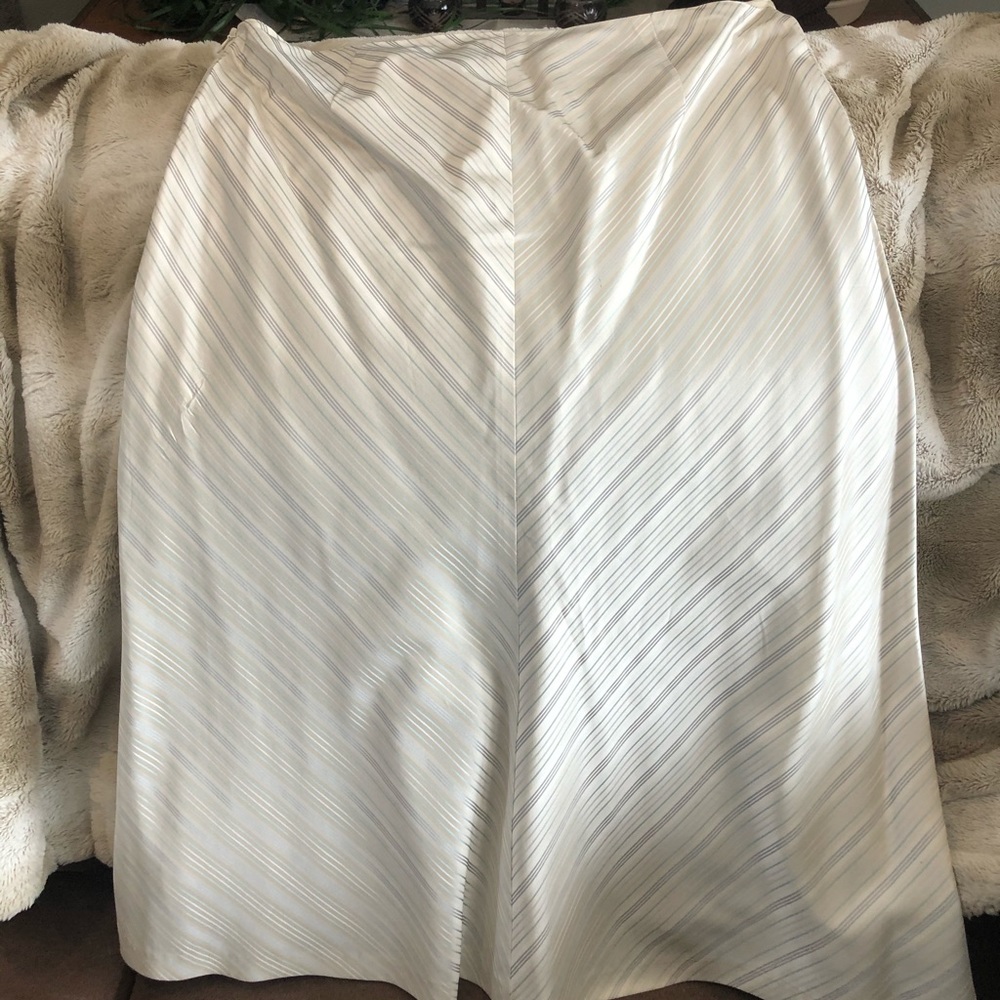 Banana Republic Skirt